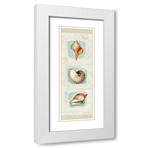 Coastal Jewels Panel II White Modern Wood Framed Art Print with Double Matting by Audit, Lisa