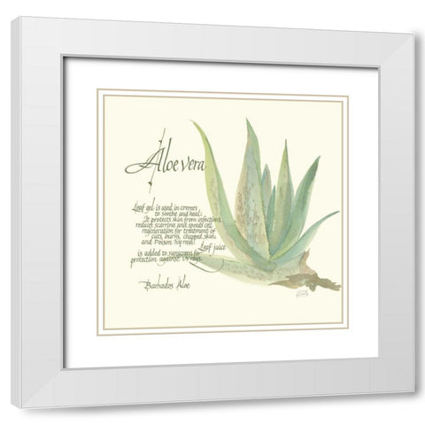 Aloe Vera White Modern Wood Framed Art Print with Double Matting by Paschke, Chris