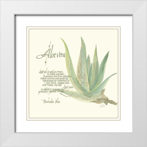 Aloe Vera White Modern Wood Framed Art Print with Double Matting by Paschke, Chris