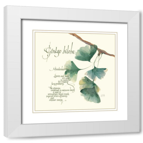 Ginkgo Biloba White Modern Wood Framed Art Print with Double Matting by Paschke, Chris
