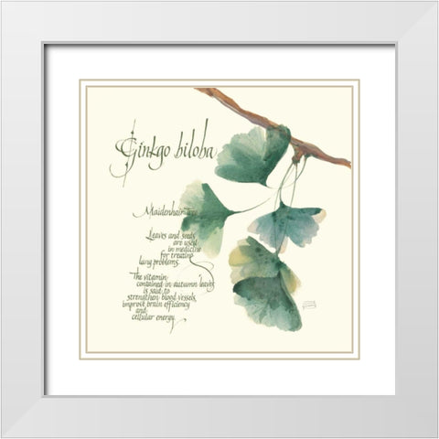 Ginkgo Biloba White Modern Wood Framed Art Print with Double Matting by Paschke, Chris
