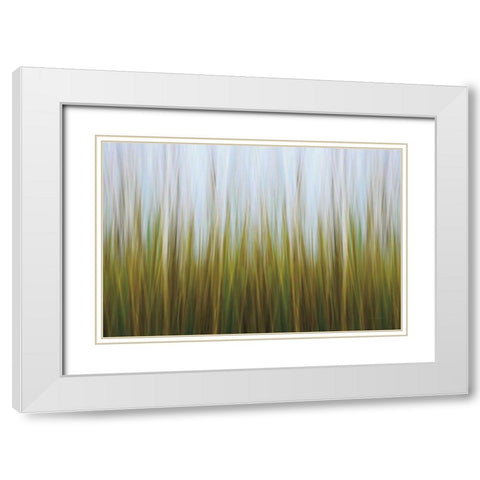 Sea Grass Canvas White Modern Wood Framed Art Print with Double Matting by Gendreau, Katherine