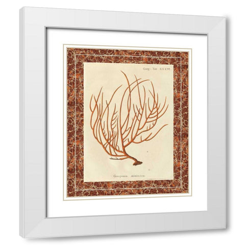 Gorgonia Miniacea Marble White Modern Wood Framed Art Print with Double Matting by Wild Apple Portfolio