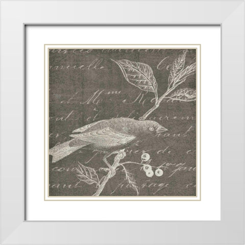 Botanical Beauty Chalk Square I White Modern Wood Framed Art Print with Double Matting by Wild Apple Portfolio