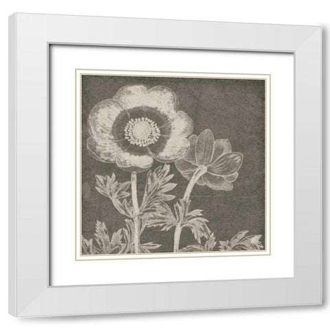 Botanical Beauty Chalk Square II White Modern Wood Framed Art Print with Double Matting by Wild Apple Portfolio