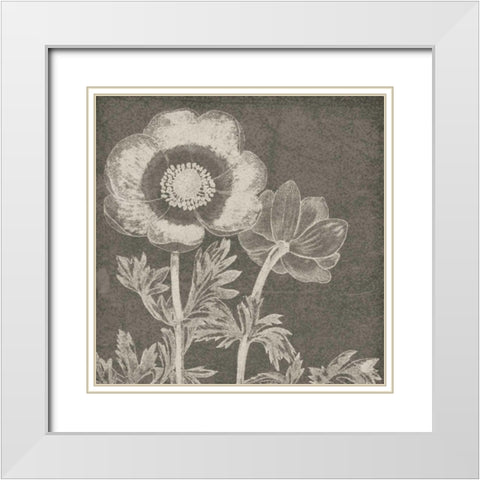 Botanical Beauty Chalk Square II White Modern Wood Framed Art Print with Double Matting by Wild Apple Portfolio