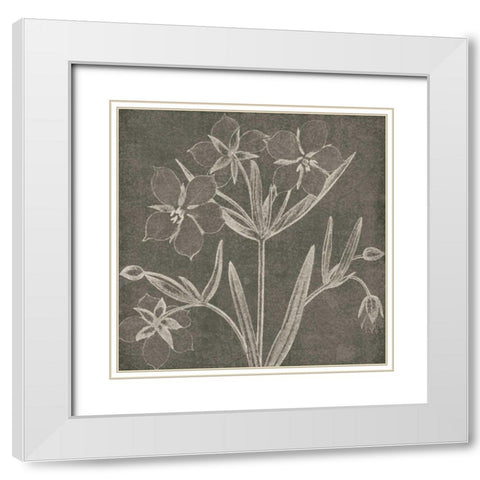 Botanical Beauty Chalk Square IV White Modern Wood Framed Art Print with Double Matting by Wild Apple Portfolio