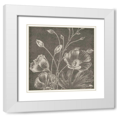 Botanical Beauty Chalk Square IX White Modern Wood Framed Art Print with Double Matting by Wild Apple Portfolio