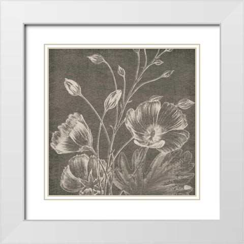 Botanical Beauty Chalk Square IX White Modern Wood Framed Art Print with Double Matting by Wild Apple Portfolio