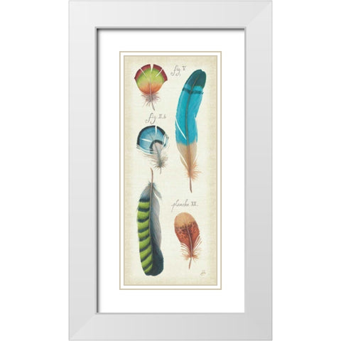 Ornithology III Panel White Modern Wood Framed Art Print with Double Matting by Brissonnet, Daphne