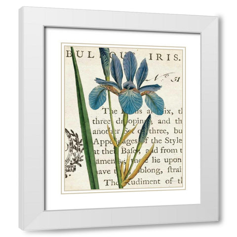 Iris Letter White Modern Wood Framed Art Print with Double Matting by Schlabach, Sue