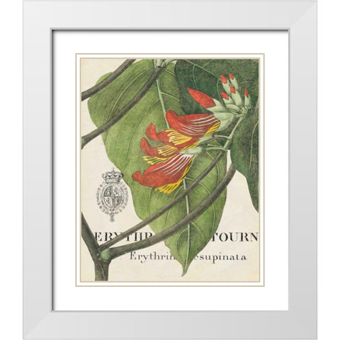 Botanique Tropicale I White Modern Wood Framed Art Print with Double Matting by Wild Apple Portfolio