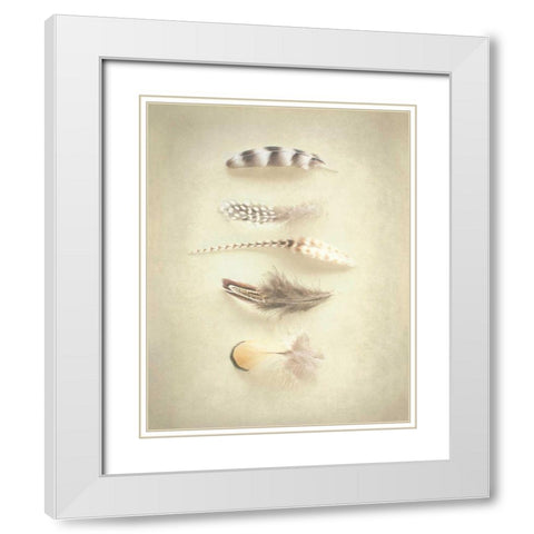 Feathers III White Modern Wood Framed Art Print with Double Matting by Urquhart, Elizabeth