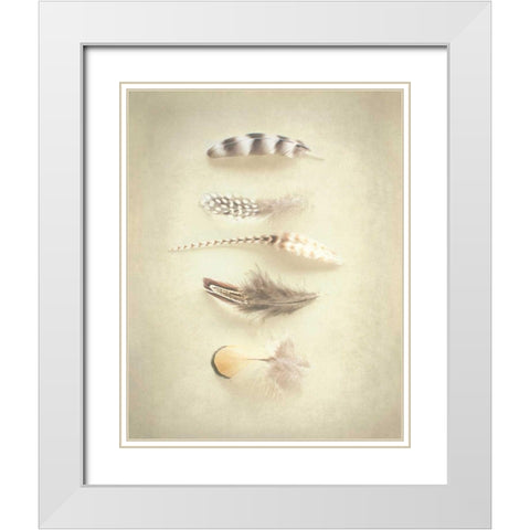 Feathers III White Modern Wood Framed Art Print with Double Matting by Urquhart, Elizabeth