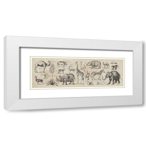 Wild Africa White Modern Wood Framed Art Print with Double Matting by Wild Apple Portfolio