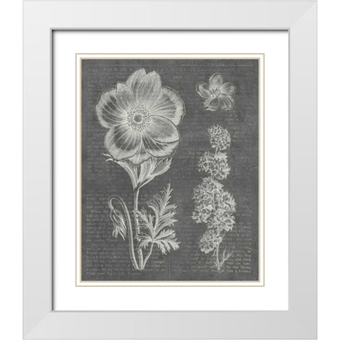 Eden Spring I Gray White Modern Wood Framed Art Print with Double Matting by Wild Apple Portfolio