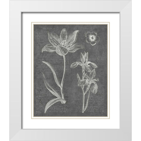 Eden Spring II Gray White Modern Wood Framed Art Print with Double Matting by Wild Apple Portfolio