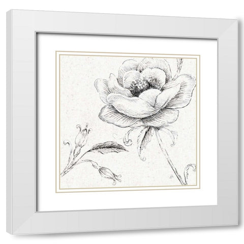Blossom Sketches II White Modern Wood Framed Art Print with Double Matting by Brissonnet, Daphne