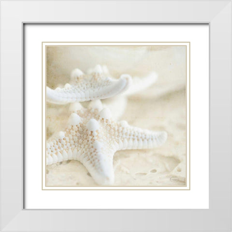 Seashore Stars White Modern Wood Framed Art Print with Double Matting by Studio, Brookview