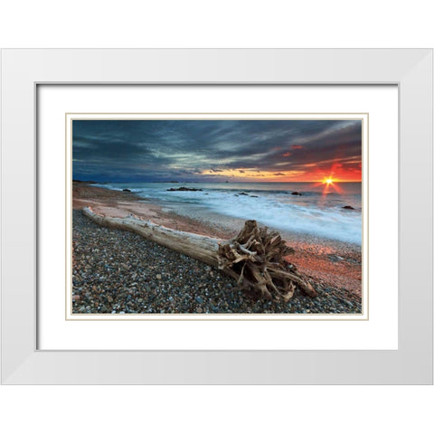 Sakonnet Driftwood White Modern Wood Framed Art Print with Double Matting by Gendreau, Katherine