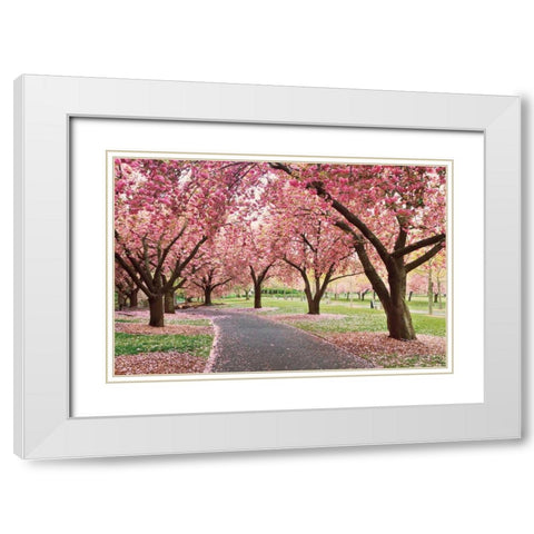 Cherry Parade White Modern Wood Framed Art Print with Double Matting by Gendreau, Katherine