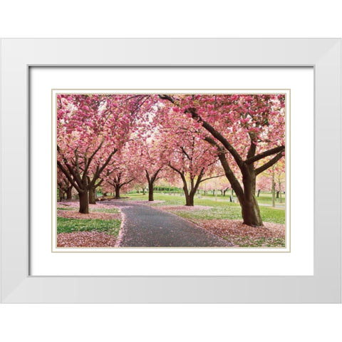 Cherry Parade White Modern Wood Framed Art Print with Double Matting by Gendreau, Katherine