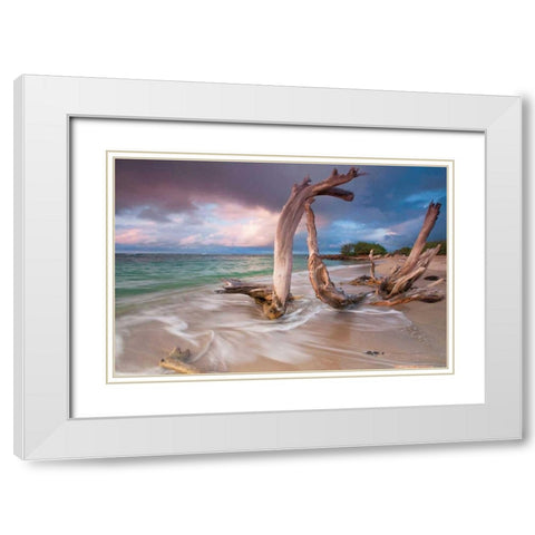 Driftwood Sunset White Modern Wood Framed Art Print with Double Matting by Gendreau, Katherine