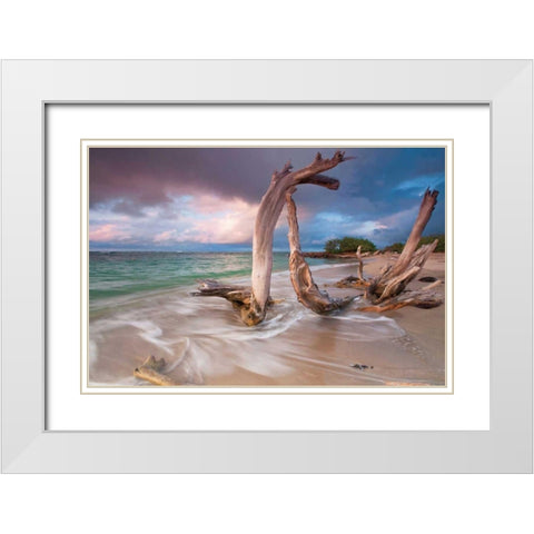 Driftwood Sunset White Modern Wood Framed Art Print with Double Matting by Gendreau, Katherine