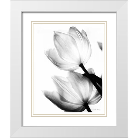 Translucent Tulips II no border White Modern Wood Framed Art Print with Double Matting by Van Swearingen, Debra