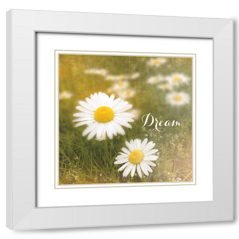 Daisy Dreams  White Modern Wood Framed Art Print with Double Matting by Schlabach, Sue