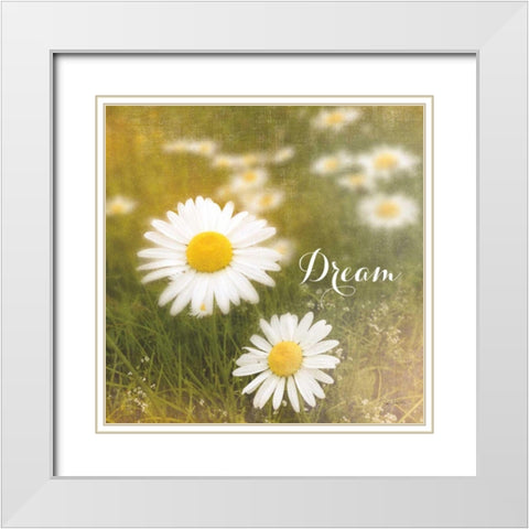 Daisy Dreams  White Modern Wood Framed Art Print with Double Matting by Schlabach, Sue