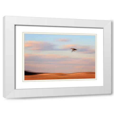 Flight White Modern Wood Framed Art Print with Double Matting by Gendreau, Katherine