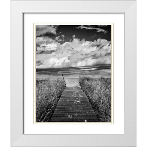 Oak Bluffs Beach Path Crop White Modern Wood Framed Art Print with Double Matting by Gendreau, Katherine
