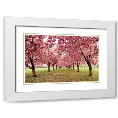 Hall of Cherries White Modern Wood Framed Art Print with Double Matting by Gendreau, Katherine