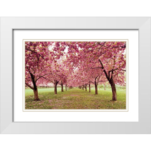 Hall of Cherries White Modern Wood Framed Art Print with Double Matting by Gendreau, Katherine