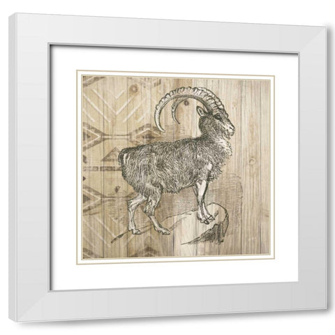 Natural History Lodge VII White Modern Wood Framed Art Print with Double Matting by Wild Apple Portfolio