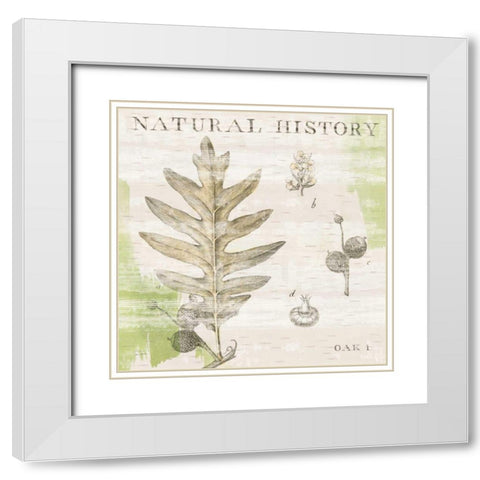 Natural History Oak I White Modern Wood Framed Art Print with Double Matting by Schlabach, Sue