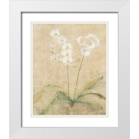 Orchid Cool White Modern Wood Framed Art Print with Double Matting by Blum, Cheri