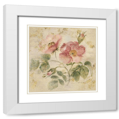 Burgundy Rose on Antique Linen Light Gold White Modern Wood Framed Art Print with Double Matting by Blum, Cheri