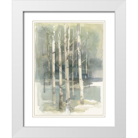 Birch Grove I White Modern Wood Framed Art Print with Double Matting by Tillmon, Avery