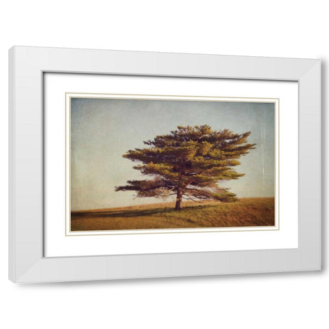 Windward Tree White Modern Wood Framed Art Print with Double Matting by Gendreau, Katherine