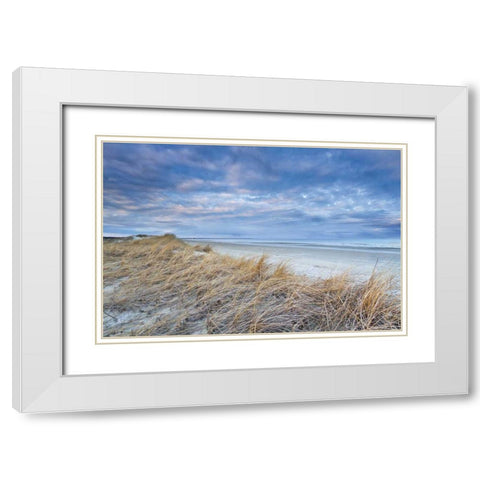 Gold in the Hills White Modern Wood Framed Art Print with Double Matting by Gendreau, Katherine