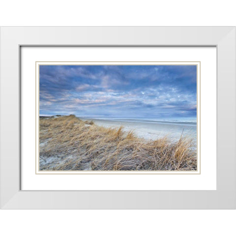 Gold in the Hills White Modern Wood Framed Art Print with Double Matting by Gendreau, Katherine