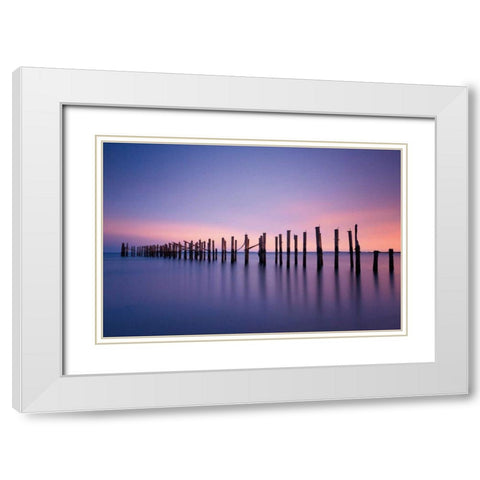Still Color White Modern Wood Framed Art Print with Double Matting by Gendreau, Katherine