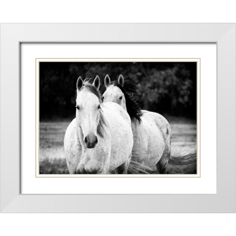 Two Wild Horses BW White Modern Wood Framed Art Print with Double Matting by Van Swearingen, Debra