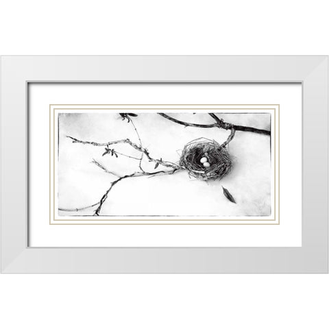 Nest and Branch II White Modern Wood Framed Art Print with Double Matting by Van Swearingen, Debra