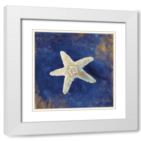 Treasures of the Sea Indigo IV White Modern Wood Framed Art Print with Double Matting by Nai, Danhui