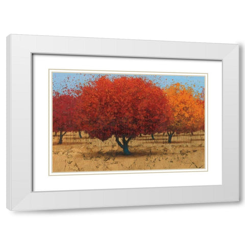 Orange Trees II White Modern Wood Framed Art Print with Double Matting by Wiens, James