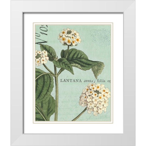 Botanique Bleu I White Modern Wood Framed Art Print with Double Matting by Wild Apple Portfolio