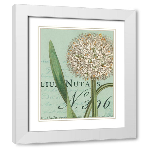 Botanique Bleu II White Modern Wood Framed Art Print with Double Matting by Wild Apple Portfolio